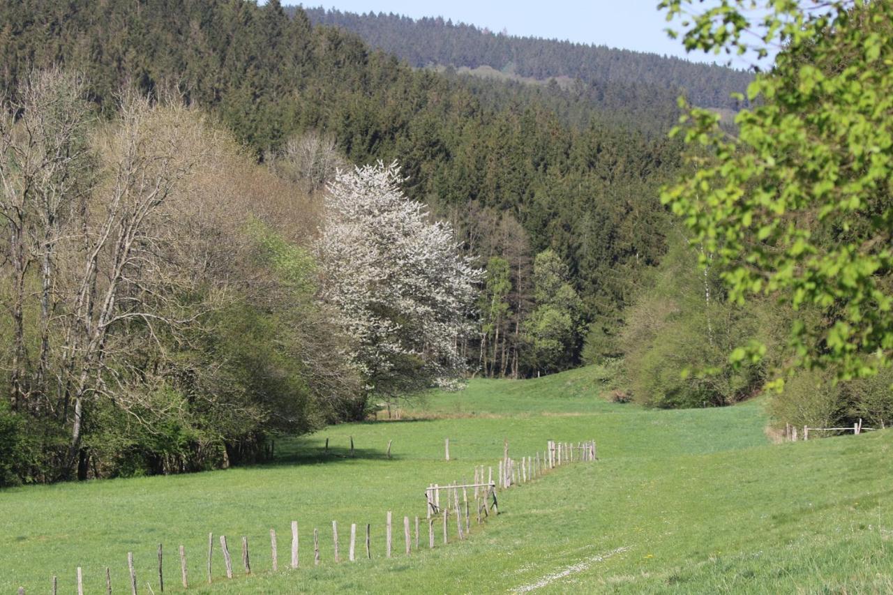 Le Clos Du Cerf - Le Sous-Bois Стумон Екстериор снимка