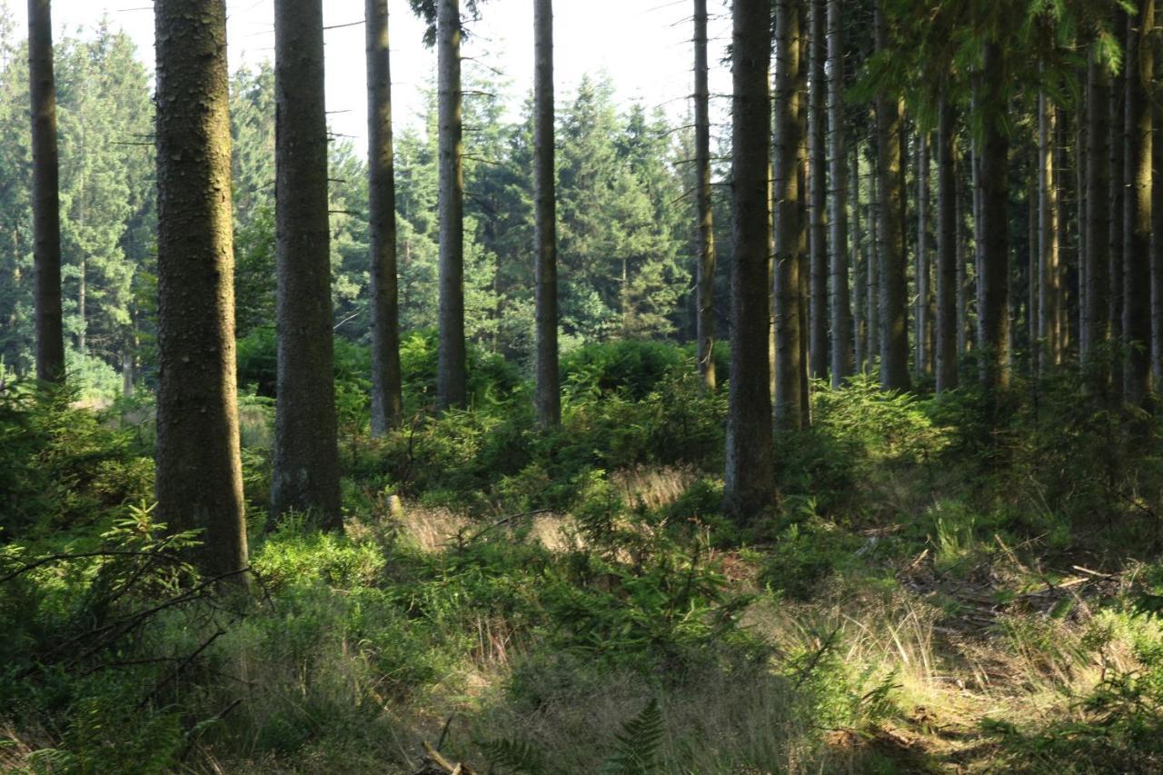 Le Clos Du Cerf - Le Sous-Bois Стумон Екстериор снимка