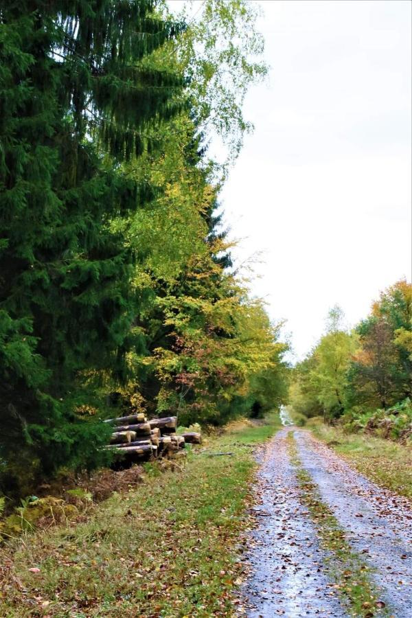 Le Clos Du Cerf - Le Sous-Bois Стумон Екстериор снимка