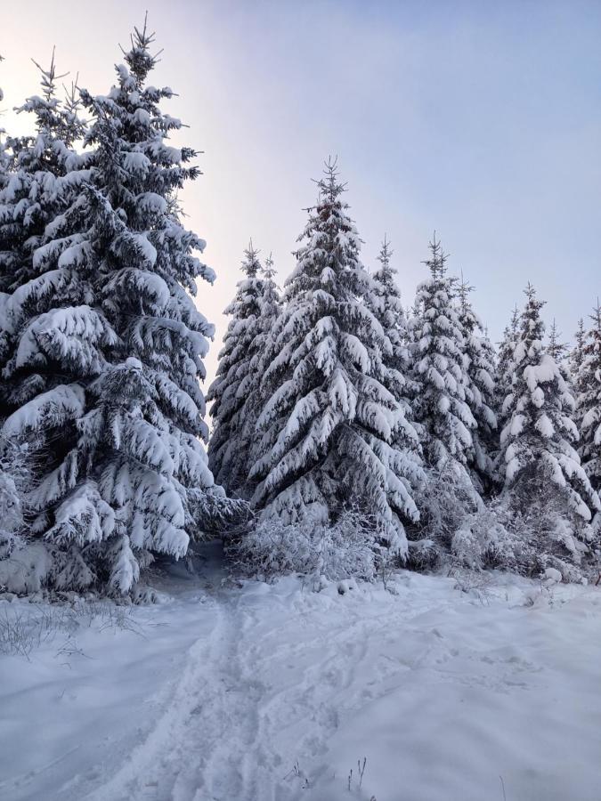 Le Clos Du Cerf - Le Sous-Bois Стумон Екстериор снимка